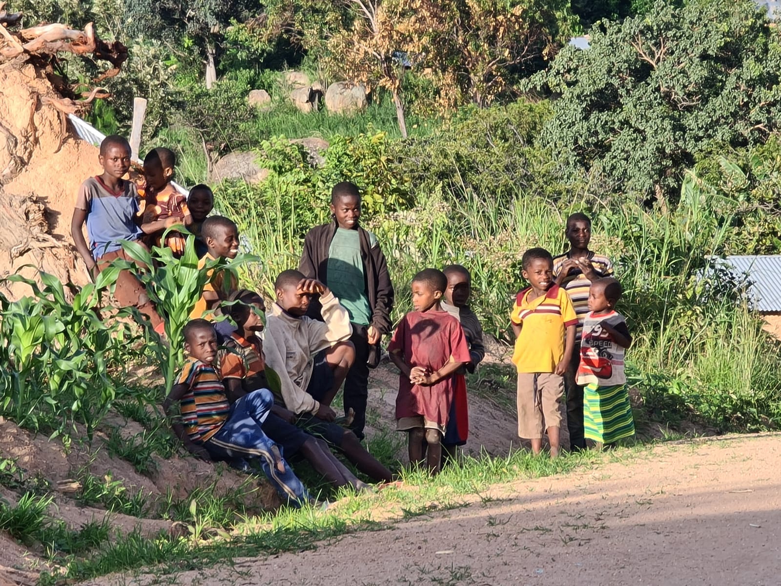 Pe urmele elevilor din satul Ilala Simba, adică de acolo unde doarme leul