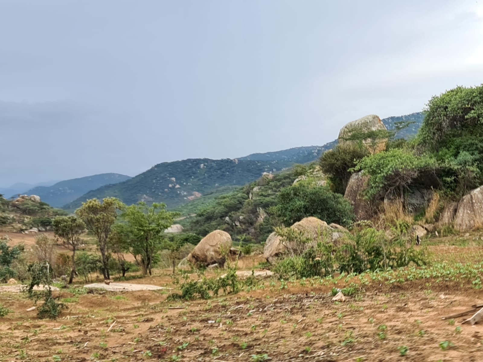 Muntele Igangidungu - Taborul nostru: poză din sezonul ploios. Acum este secetă