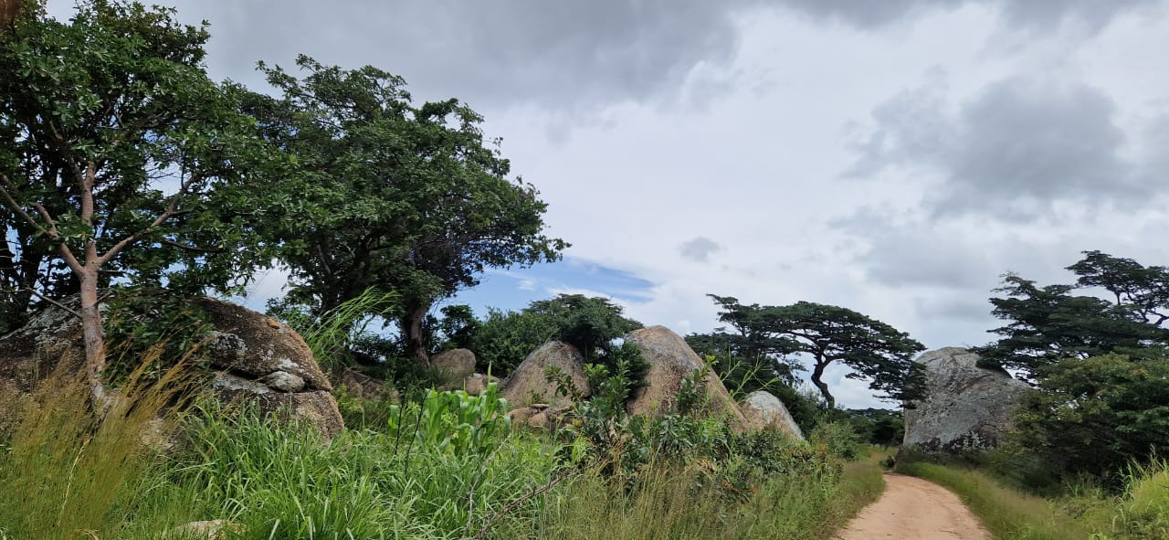 Oameni și stânci de poveste – de la Ibogo la Idangidungu